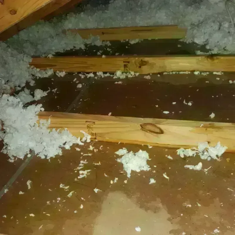 Attic Water Damage in Oakland, NE