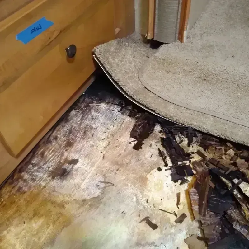 Wood Floor Water Damage in Oakland, NE